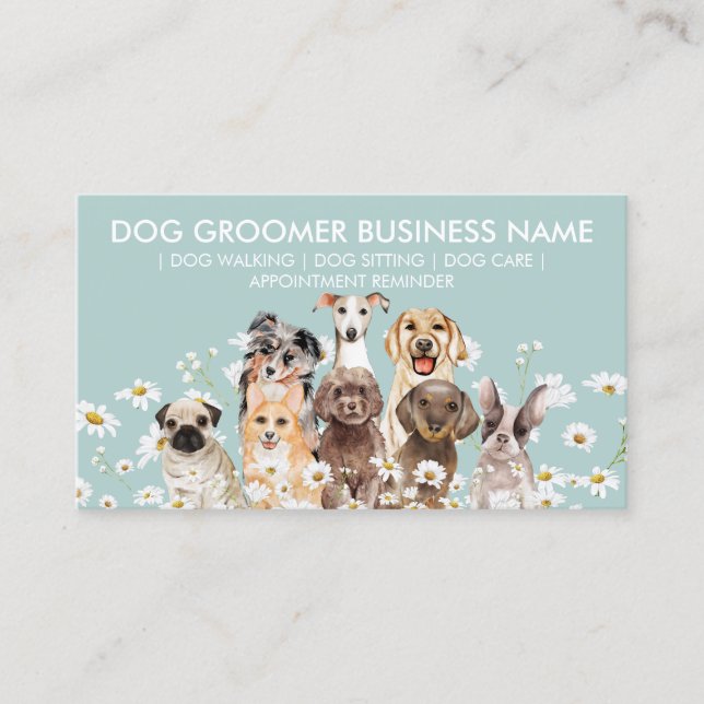 Tarjeta De Visita Nombramiento de Daisy Flowers Dog Groom Sitter Wal (Anverso)
