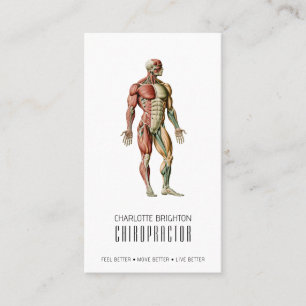Tarjeta De Visita Nombramiento de quiropráctico corporal anatómico y