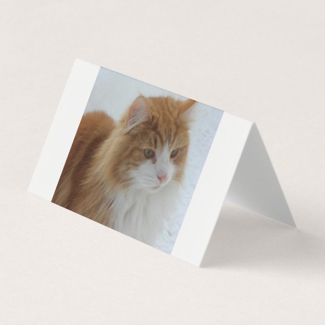 Tarjeta De Visita Norwegian_Forest_Cat (Anverso)