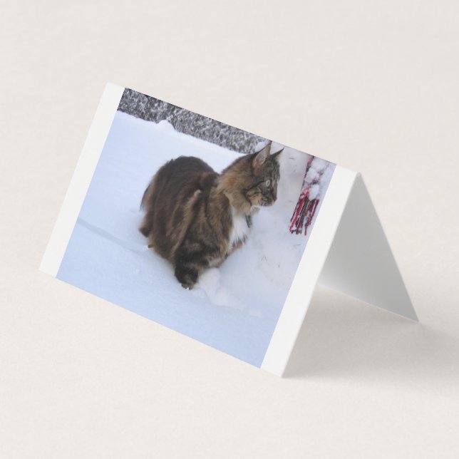 Tarjeta De Visita norwegian forest cat in snow (Anverso)