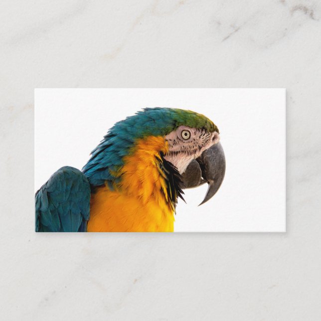 Tarjeta De Visita Notas adhesivas de loro (Anverso)