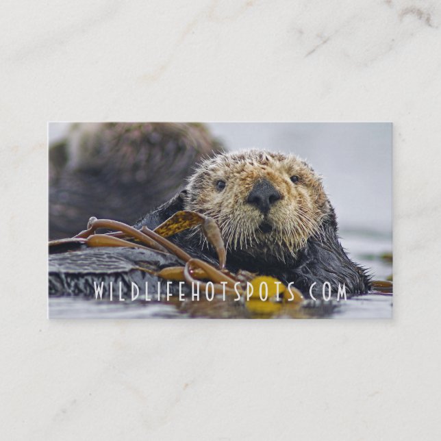 Tarjeta De Visita Nutria de mar (Anverso)