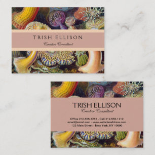 Tarjeta De Visita Océano marino Anemone Científico