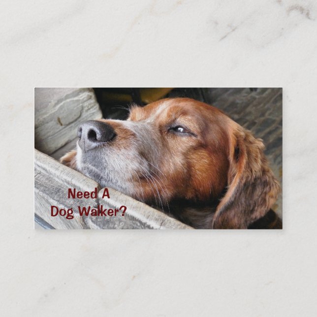 TARJETA DE VISITA OFICIOS, PASEO DE PERROS. (Reverso)