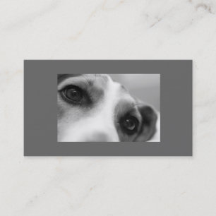 Tarjeta De Visita Ojos y pata modernos del perro