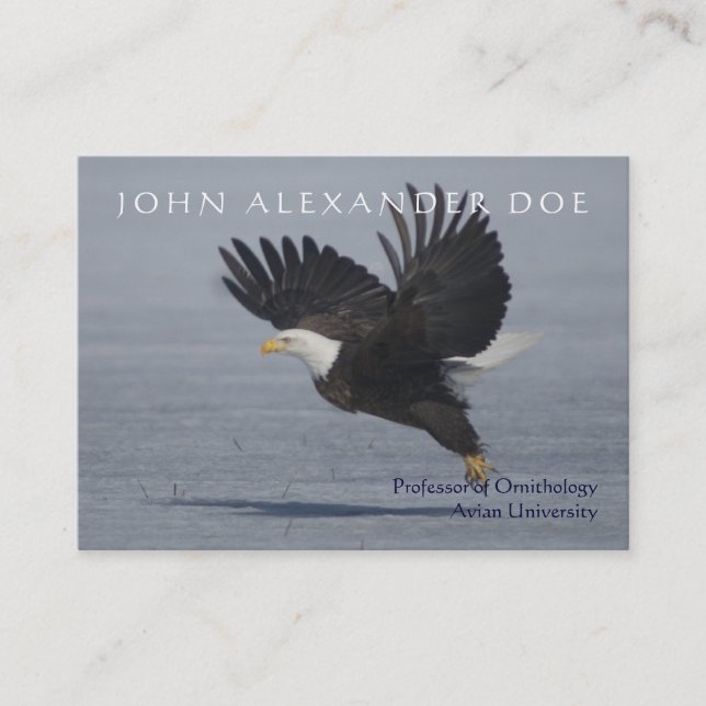 Tarjeta De Visita Onithologist - profesor de la ornitología - (Anverso)