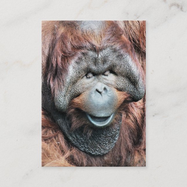 TARJETA DE VISITA ORANGUTAN (Anverso)