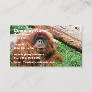 Tarjeta De Visita Orangután soñoliento