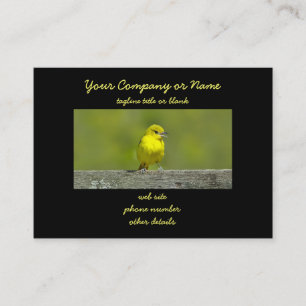 Tarjeta De Visita Orchard Oriole - Foto original