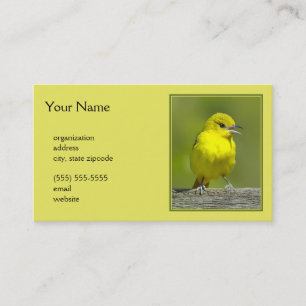Tarjeta De Visita Orchard Oriole - Foto original
