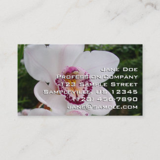 Tarjeta De Visita Orquídea Blanca I Hermosa Flor Tropical