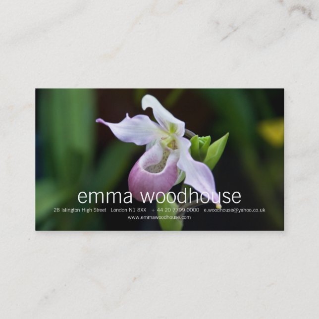 Tarjeta De Visita Orquídea del Phragmipedium (Anverso)