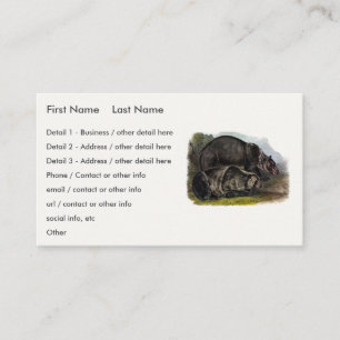 Tarjeta De Visita Oso Grizzly (Oso Marrón Norteamericano) - Audubon