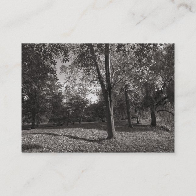 Tarjeta De Visita Otoño en el parque (Anverso)
