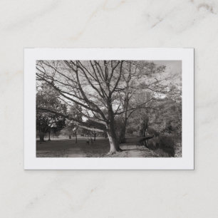 Tarjeta De Visita Otoño en el parque (bordeado)