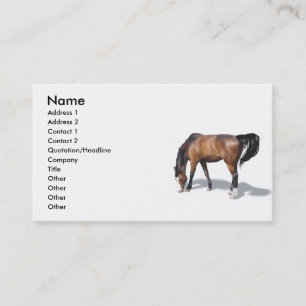 Tarjeta De Visita Otros017 , Nombre, Dirección 1, Dirección 2, Conta