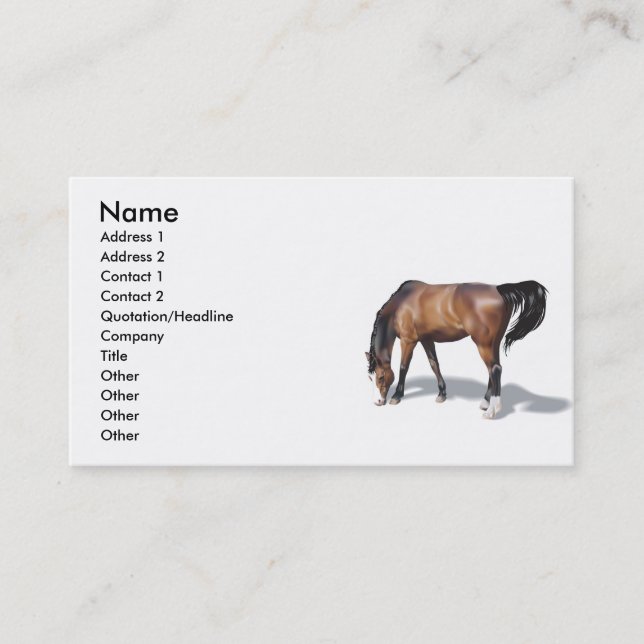 Tarjeta De Visita Otros017 , Nombre, Dirección 1, Dirección 2, Conta (Anverso)