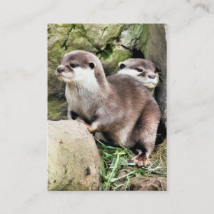 TARJETA DE VISITA OTTERS