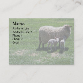 Tarjeta De Visita Oveja con los gemelos