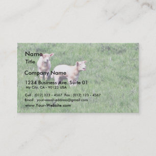 Tarjeta De Visita Ovejas de cerdo