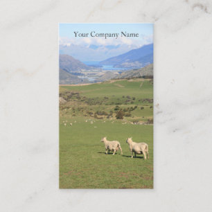 Tarjeta De Visita Ovejas felices en la fotografía del campo -