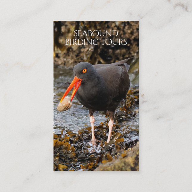 Tarjeta De Visita Oystercatcher Birdwatching / excursiones por la na (Anverso)