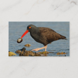 Tarjeta De Visita Oystercatcher negro con clam