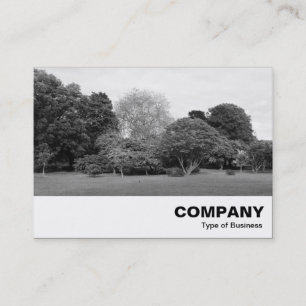 Tarjeta De Visita Paisaje de Park