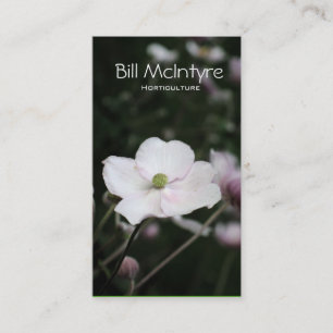 Tarjeta De Visita Paisaje del jardín de las anémonas