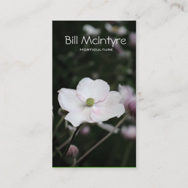 Tarjeta De Visita Paisaje del jardín de las anémonas (Anverso)