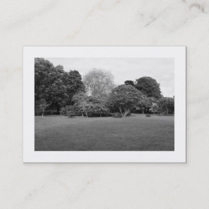 Tarjeta De Visita Paisaje del parque (bordeado)