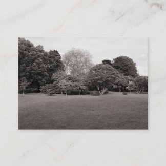 Tarjeta De Visita Paisaje del parque (BW con tonos cálidos)