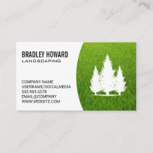 Paisajismo | Césped y árboles altos