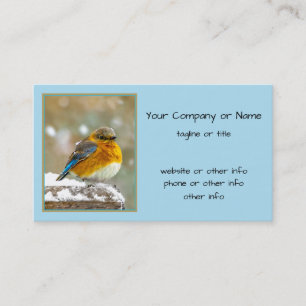 Tarjeta De Visita Pájaro azul oriental en nieve - Fotografía origina