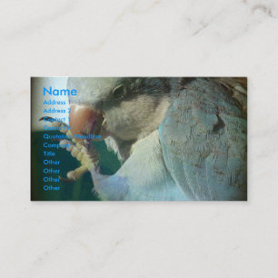 Tarjeta De Visita Pájaro Bonito