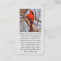 Pájaro Cardenal Rojo San Francisco de Asís