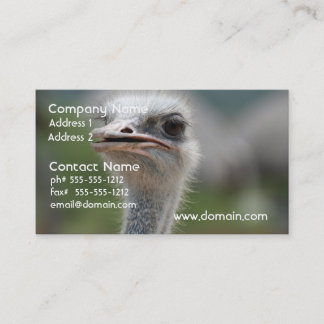 Tarjeta De Visita Pájaro de la avestruz