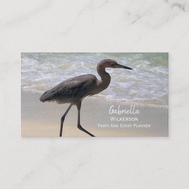 Tarjeta De Visita Pájaro de playa (Anverso)