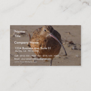 Tarjeta De Visita Pájaro del gaitero de la arena en la playa