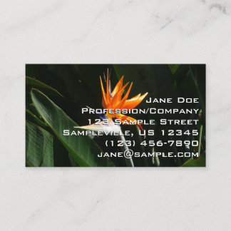 Tarjeta De Visita Pájaro del Naranja del paraíso Flor tropical