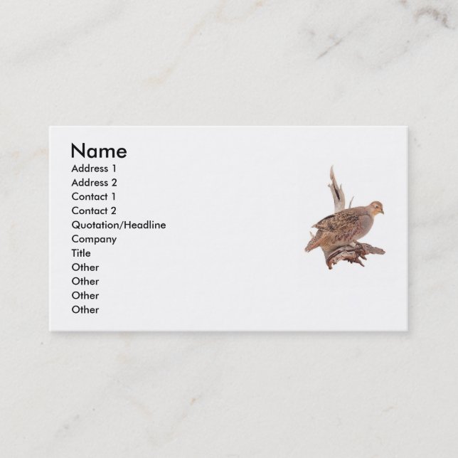 Tarjeta De Visita pájaro salvaje (Anverso)