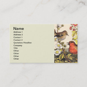 Tarjeta De Visita Pájaros Cantores Robin Botánico Floral Vintage