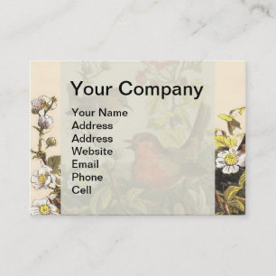 Tarjeta De Visita Pájaros Cantores Robin Botánico Floral Vintage