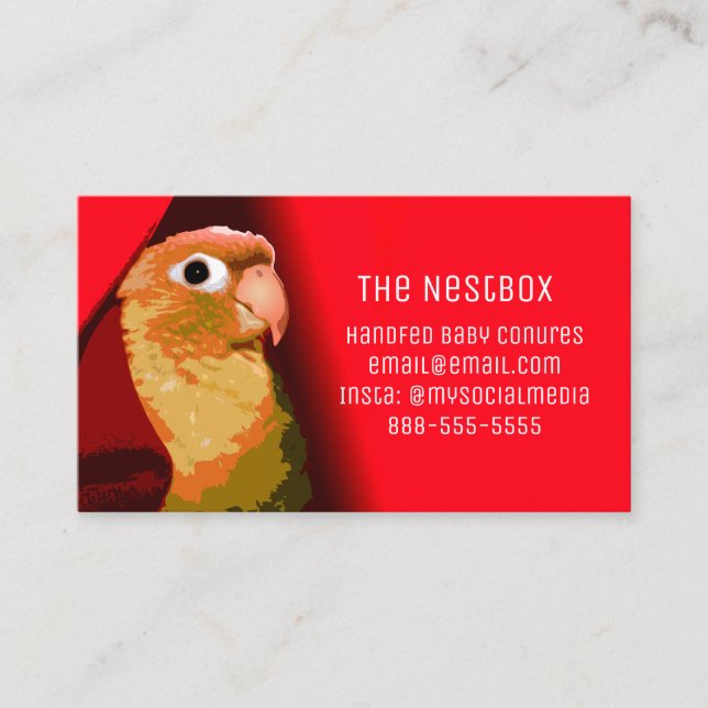 Tarjeta De Visita Pájaros De Pájaros De Pájaros De Pájaros De Conure (Anverso)