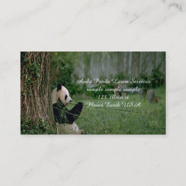 Tarjeta De Visita Panda Bear (Anverso)