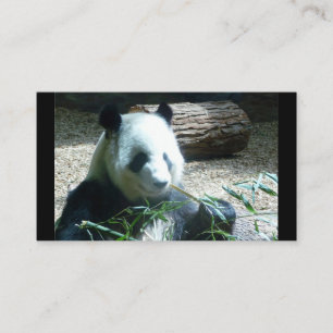 Tarjeta De Visita Panda Bear Business Cards