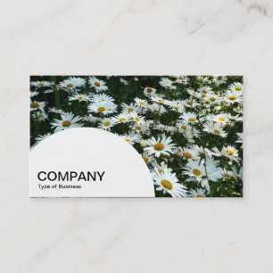 Tarjeta De Visita Panel de semicírculo - Gloria del otoño del sedio