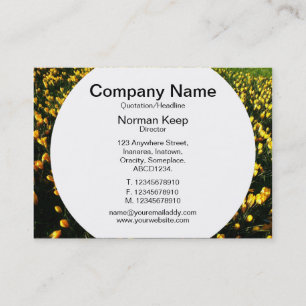 Tarjeta De Visita Panel redondo - Cruces