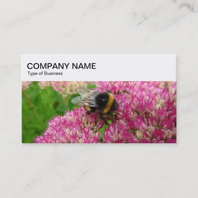 Tarjeta De Visita Panel superior - Bumble Bee on Sedum Business Card (Anverso)
