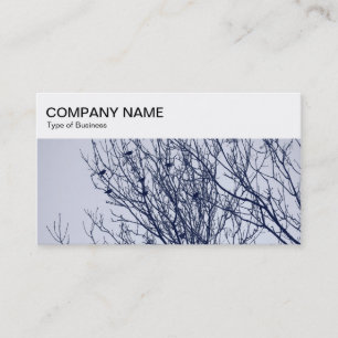 Tarjeta De Visita Panel superior - Starlings in a Tree Business Card
